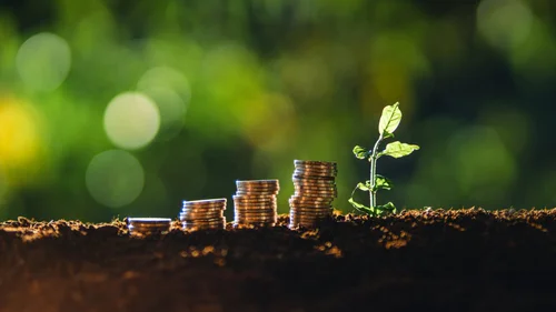 Investing in Social Impact: A Proven Strategy for Puerto Rico’s Future
